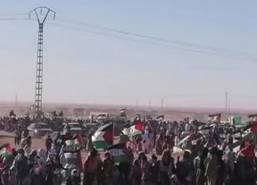 بعد رفض الحلول الأممية تعبئة مصطنعة بالمخيمات والجزائر تجلب مئات الجزائريين للمشاركة في مظاهرات لصالح البوليساريو