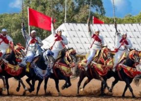 تفويض تنظيم مهرجان زناتة للفروسية لشركة التنمية المحلية يكرس الحياد ويبدد مخاوف الاستغلال السياسي
